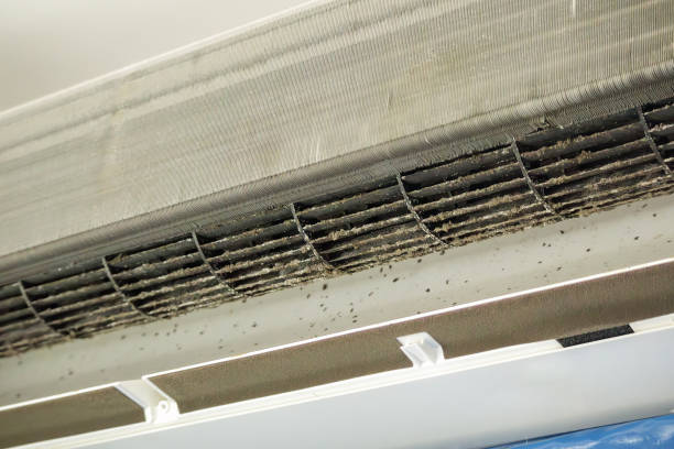 Best Best Air Duct Cleaning Company  in Middleton, WI